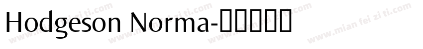 Hodgeson Norma字体转换